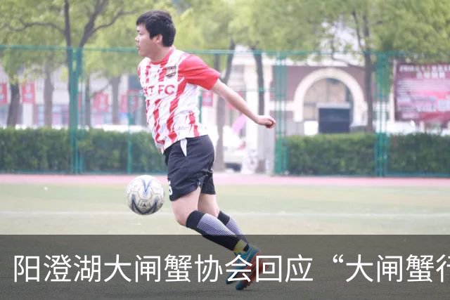 阳澄湖大闸蟹协会回应“大闸蟹行情崩盘”：与真实供需格局不符